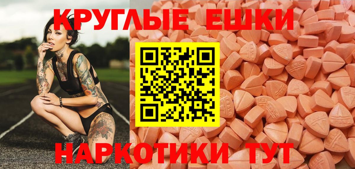 ЭКСТАЗИ бентли Тара
