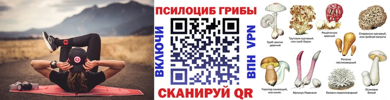 Галлюциногенные грибы MAGIC MUSHROOMS  площадка формула  Тара 