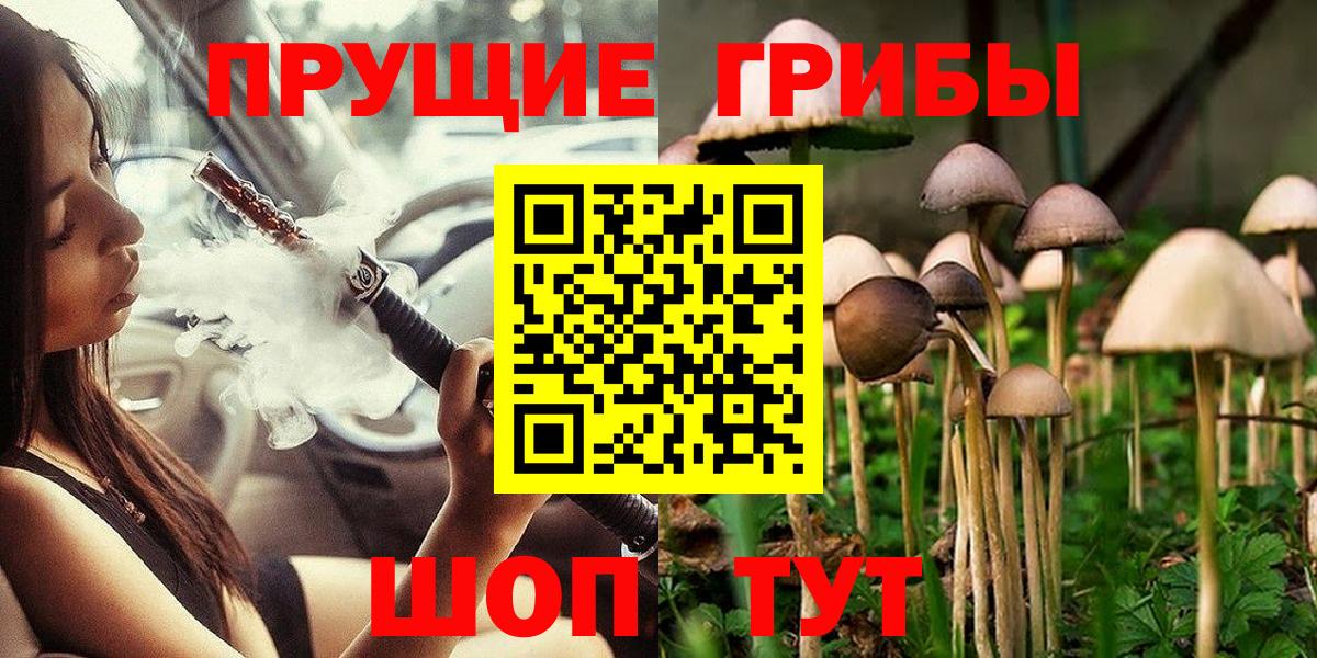 Галлюциногенные грибы Cubensis  Вход с VPN  Тара 